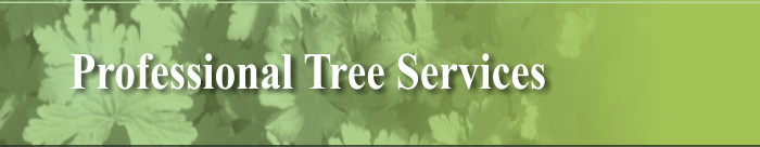 Professional Tree Services